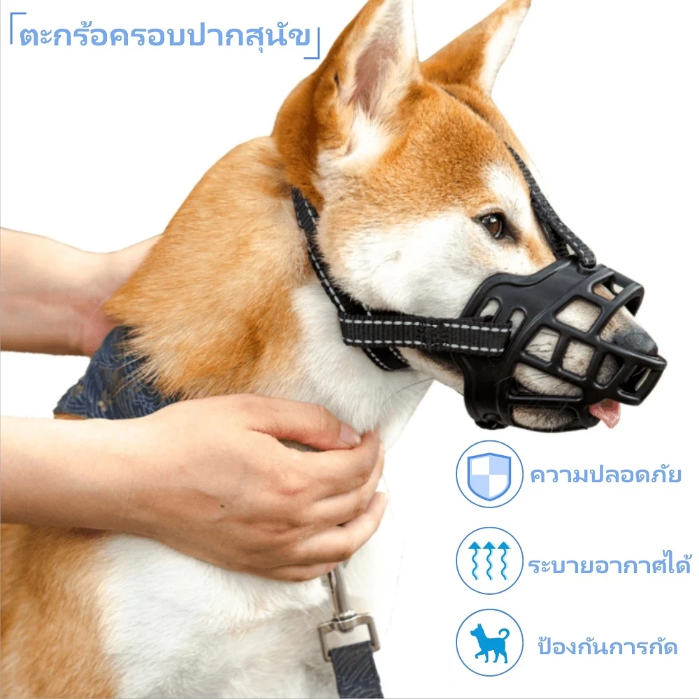 ตระกร้อครอบปากสุนัข ที่ครอบปากหมา ครอบปากสุนัข ตะกร้อครอบปาก ตะกร้อครอบปากหมา ตะกร้อปากสุนัข ตะกร้อสุนัข ที่ครอบ (อัปเดท 2025)
