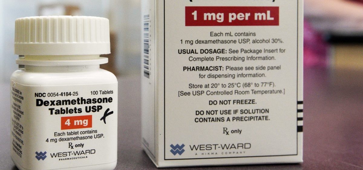 5 เรื่องที่คุณควรรู้ ก่อนให้น้องหมาใช้ “Dexamethasone” ยาสเตียรอยด์ที่หมอมักสั่ง (อัปเดท 2025)
